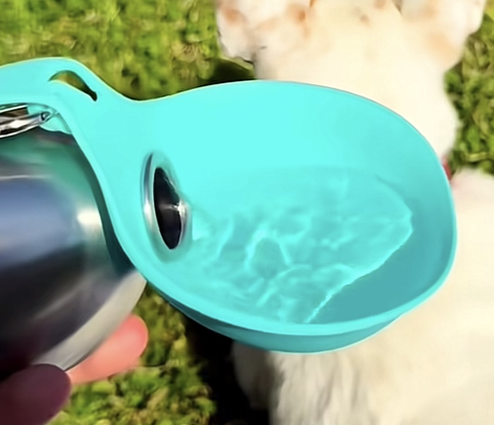Dog Bottle