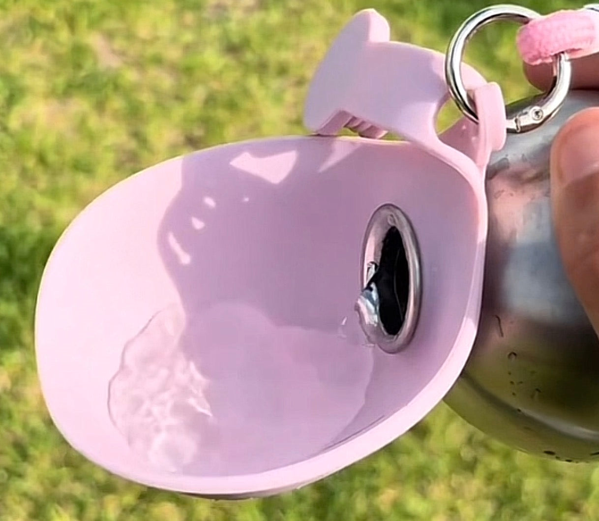 Dog Bottle